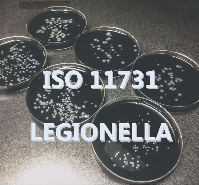 Corso Legionella 11731:2017 – FAD ONLINE DIFFERITA