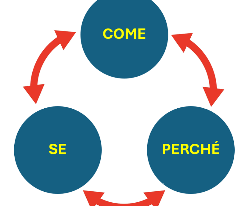 Il “se”, il “come”, il “perché” nella qualità e nelle verifiche di terza parte: la grammatica dei sistemi di gestione